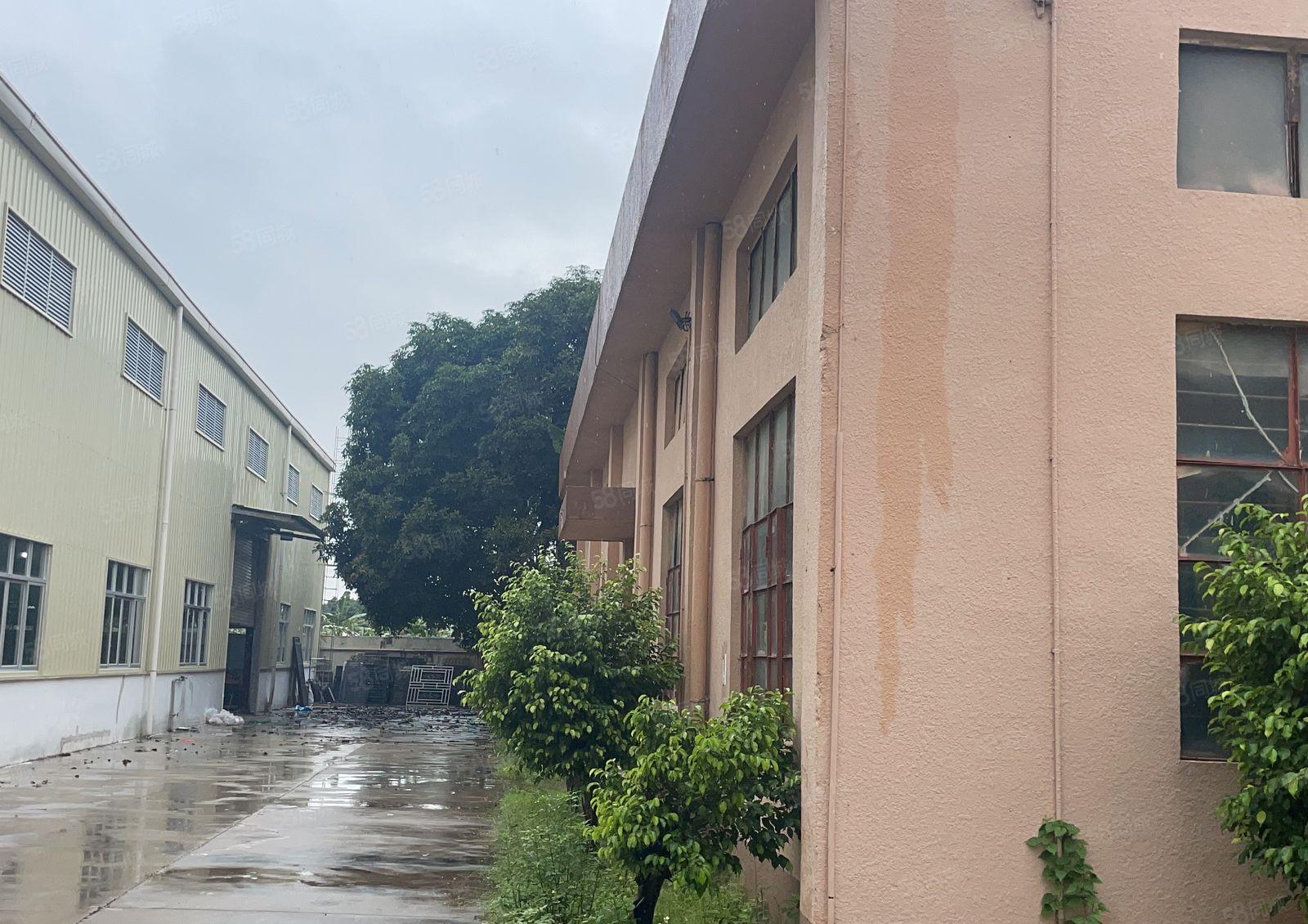 观澜牛湖主干道边独院仓库出租500平方，滴水6米带装修