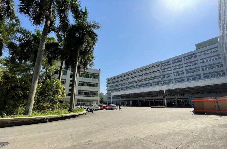 龙华智能仓库仓储1000平起租可临时租可长久租