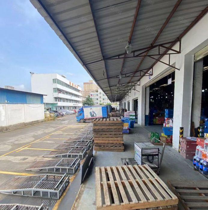 观澜物流仓库厂房8300平照片实拍带整排卸货平台厂房出租