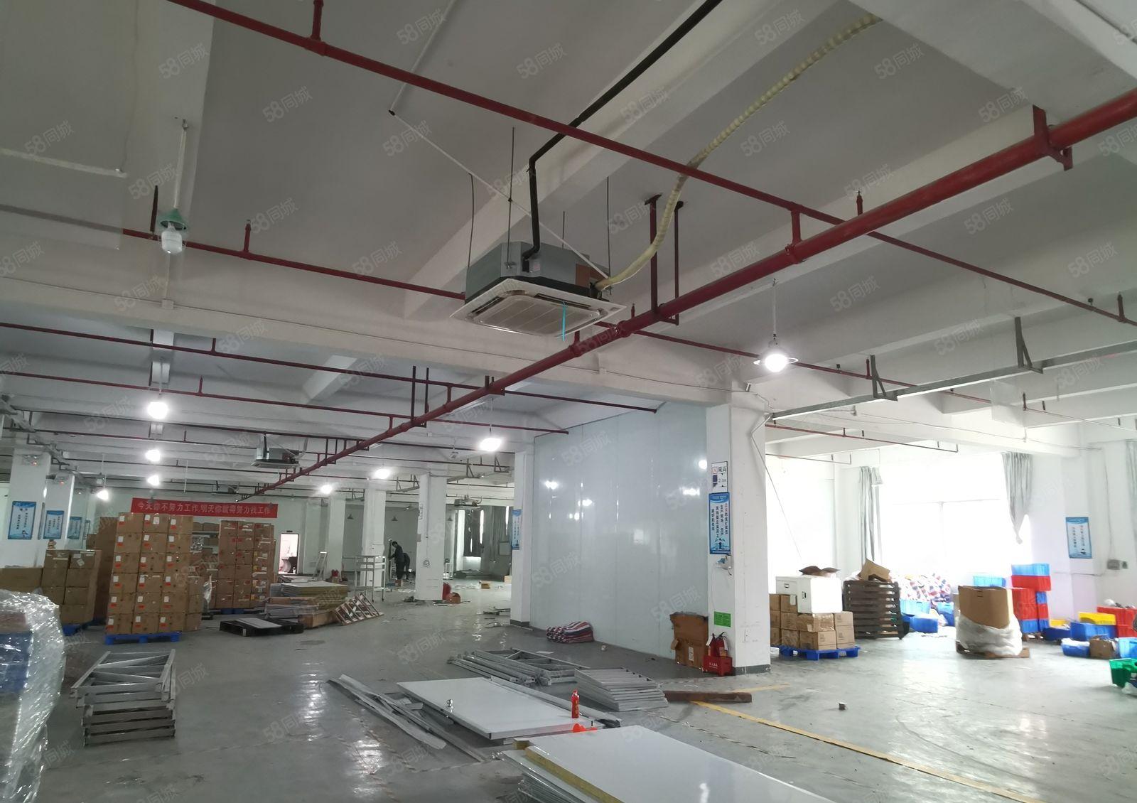 观澜环观中路松元大布头整层1900平米带办公室装修厂房出租