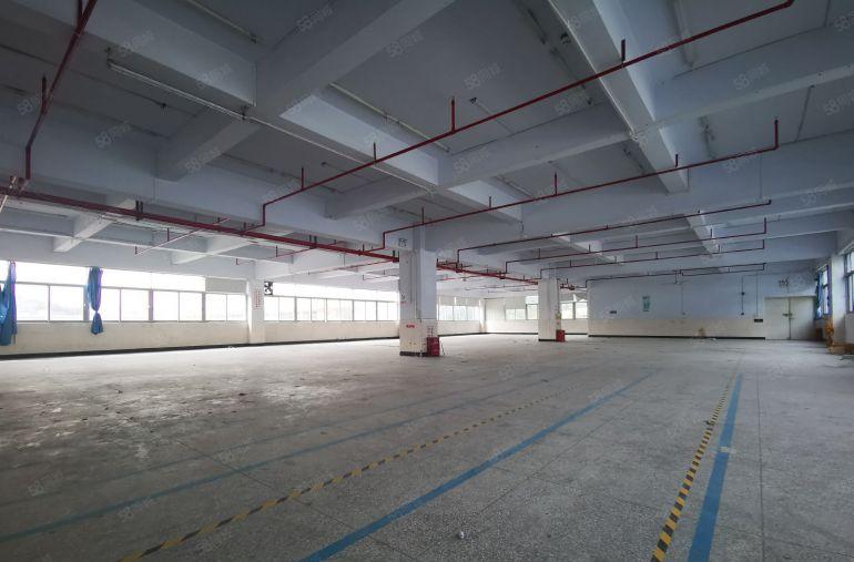 特价18元龙华大浪原房东1000平精装修红本厂房出租分租