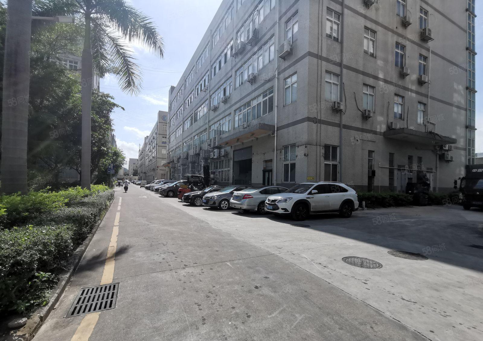 龙华大浪新百丽工业园2000平精装修办公室仓库厂房出租可分租