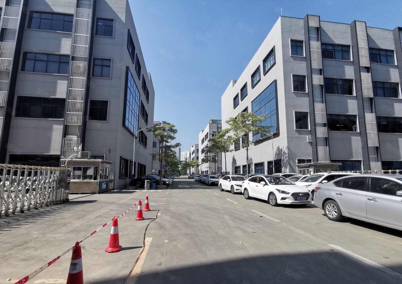 光明长圳独门独院工业园6500平厂房出租可分租带精装修办公室