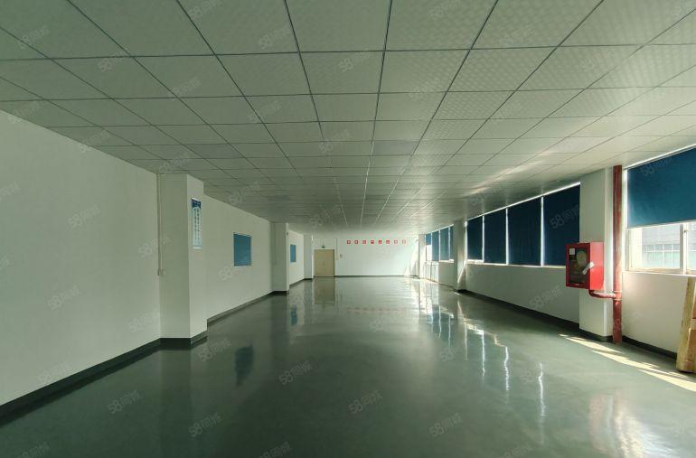 龙华大浪原房东红本厂房出租两层共3000平方龙华独门独院