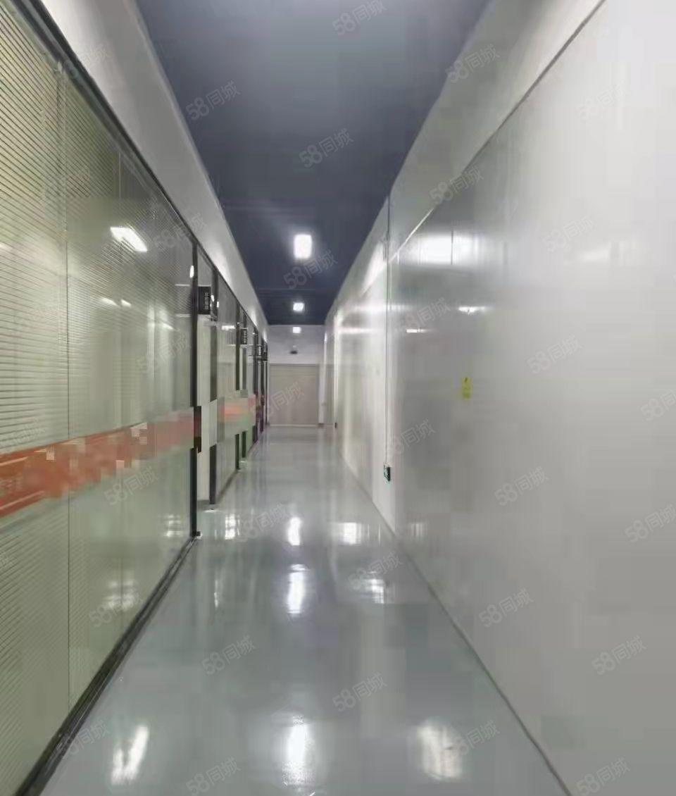 龙华观澜福民独院楼上1100平精装修无尘车间配套齐全厂房出租