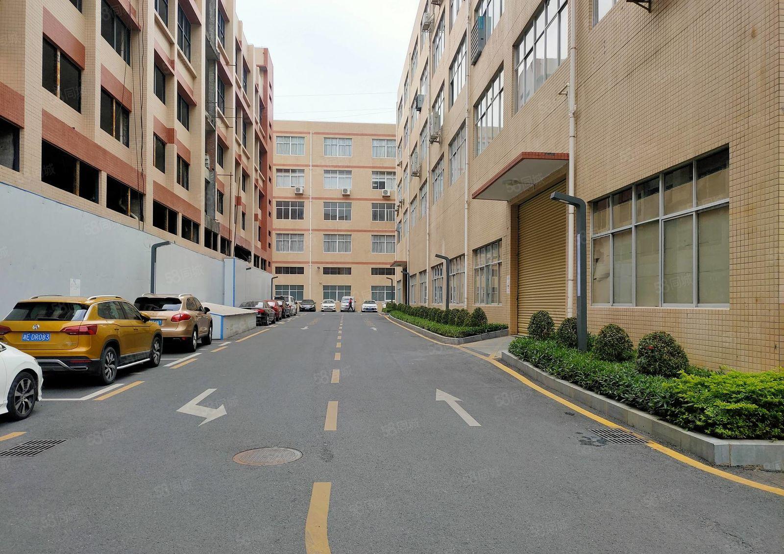 龙华大浪工业园整层2200平红本厂房出租可分租低价仓库出租