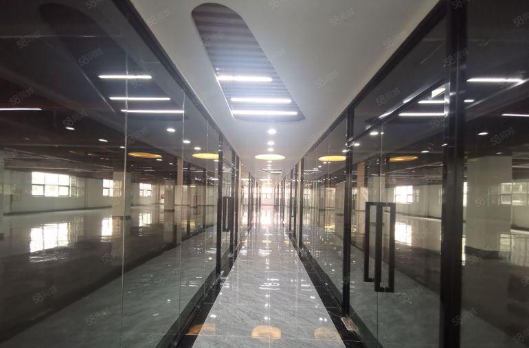 特价100平起租龙华油松1000平厂房仓库出租使用率高