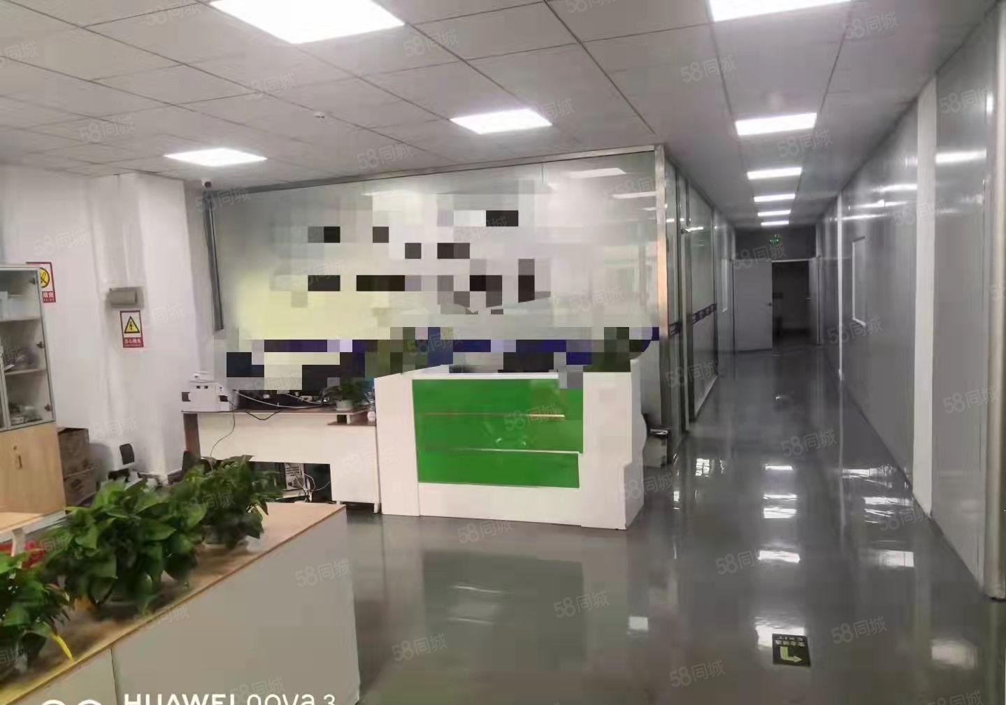 大浪原房东整层面积550平米带装修出租