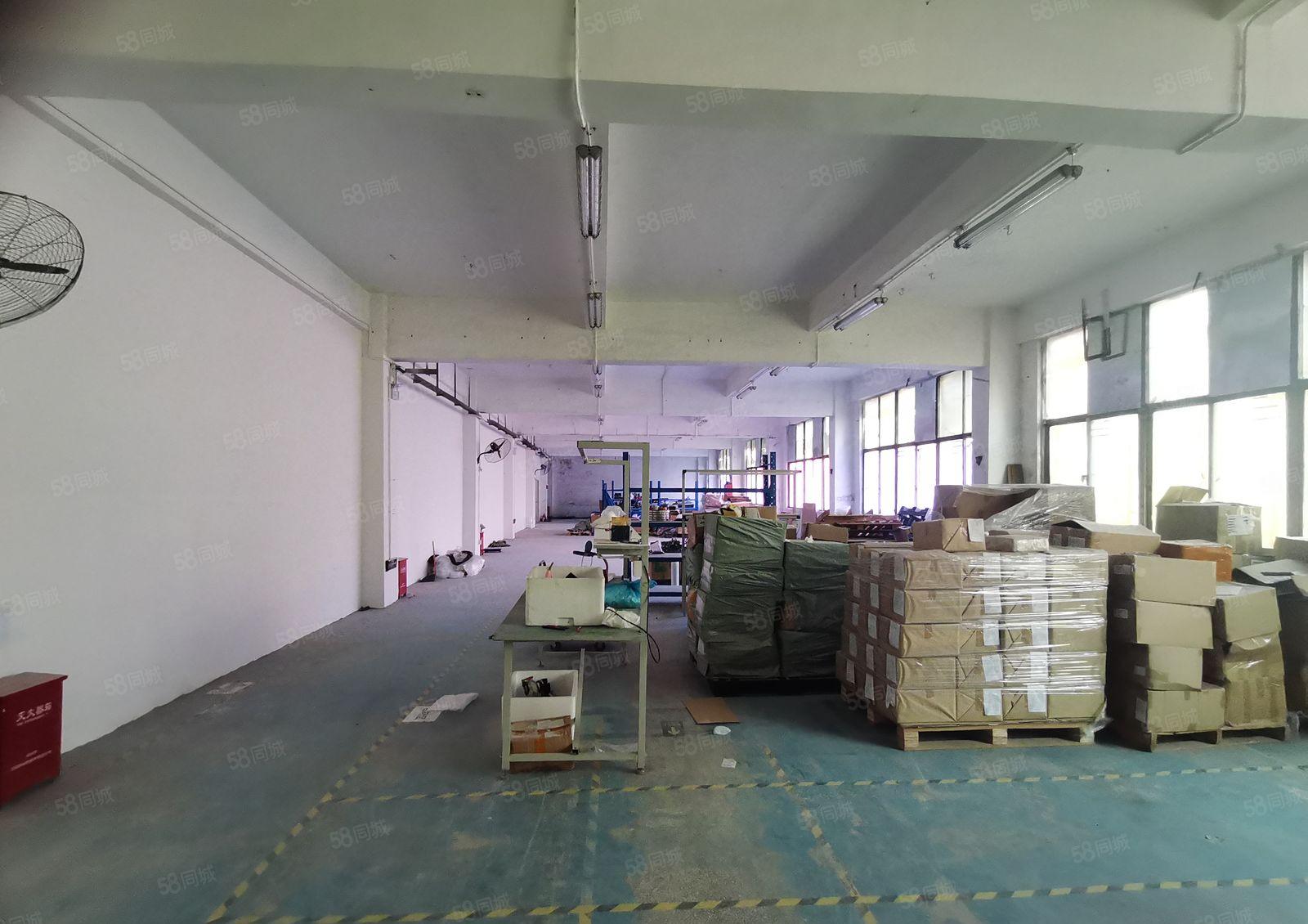 深圳龙华新区观澜主干道工业楼上标准精装修580平米，拎包入住
