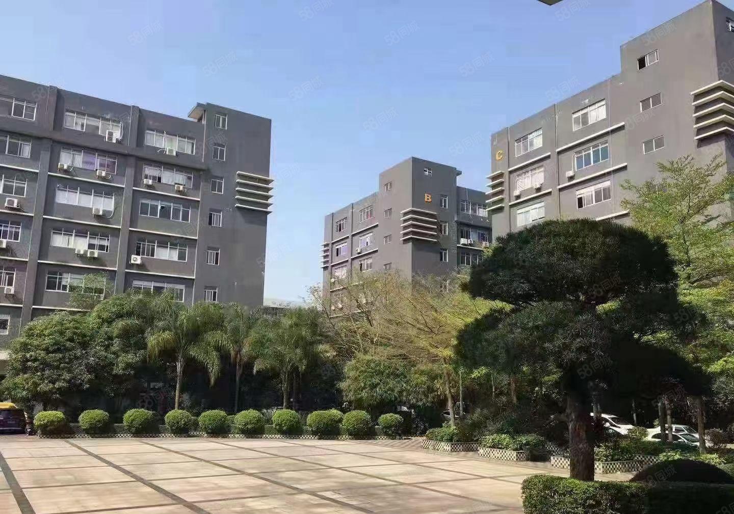 观澜竹村地铁口楼上460平方带精装修厂房出租