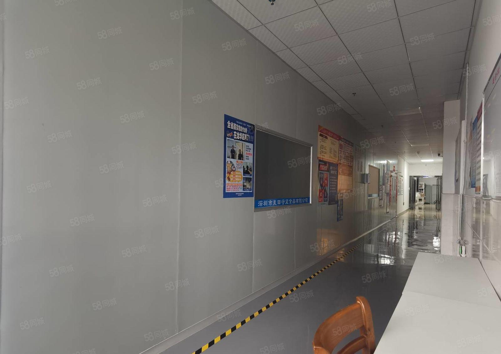 大浪原房东厂房3900平方，食品级无尘车间，精装修，食品证，