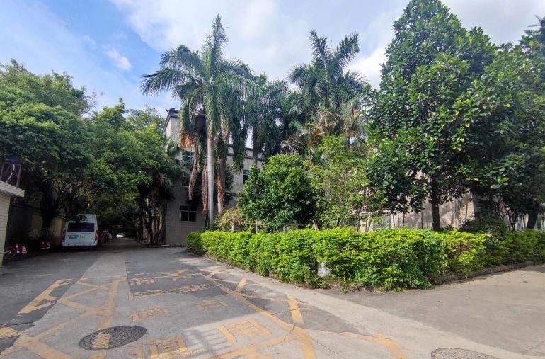 观澜原房东 独院厂房出租8700平方，有独立办公楼宿舍 含税