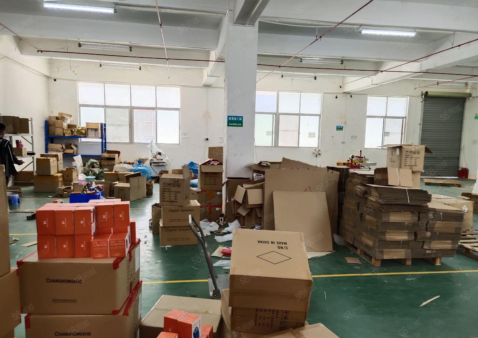 大浪新园区新出一楼475平方标准厂房出租水电齐全园区环境好