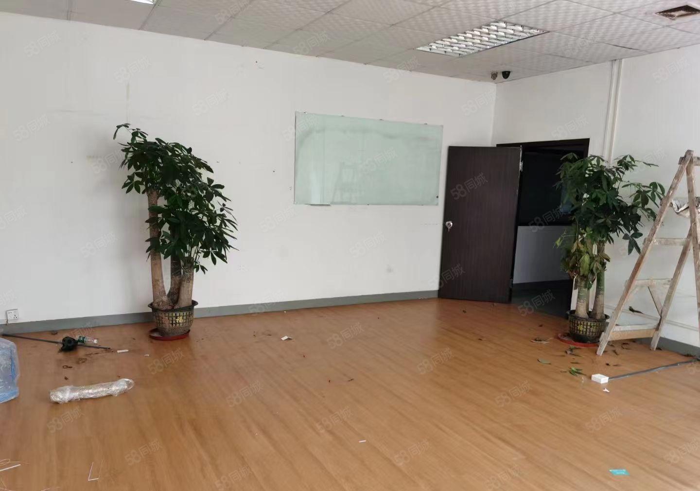 大浪新百丽，原房东，精装修618平厂房出租