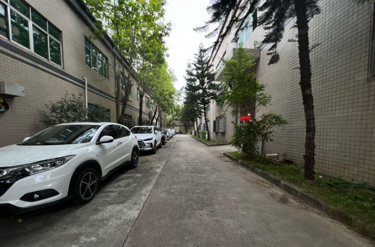 观澜原房东花园式独院厂房8500平方出租层高6米托头随进