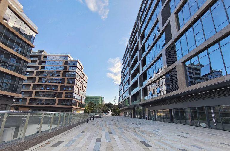 地铁口旁边20000平方红本全新研发办公厂房免租3个月可分租