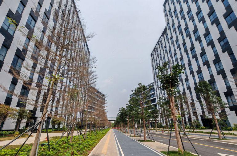 龙华油松文创园新出楼上500平办公室仓库厂房低价出租