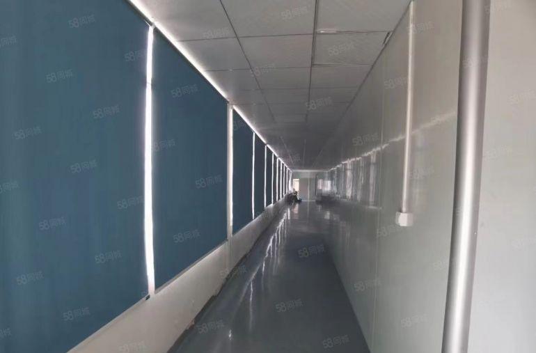 大浪原房东独门独院1300平方2层豪华装修带无尘车间厂房出租