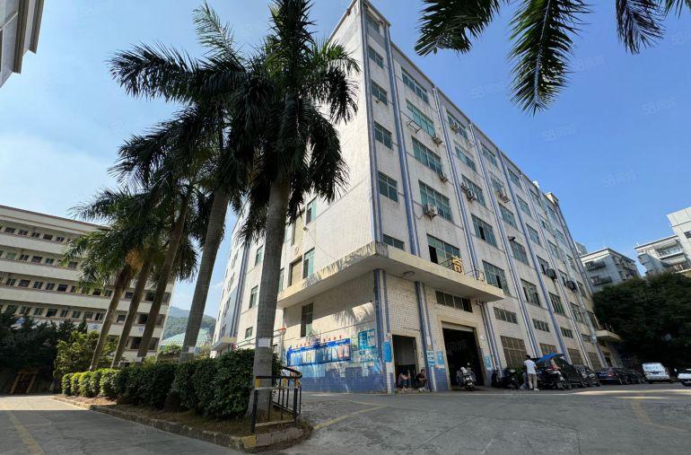 龙华一楼厂房出租200平起带精装电商办公室一楼仓库分租