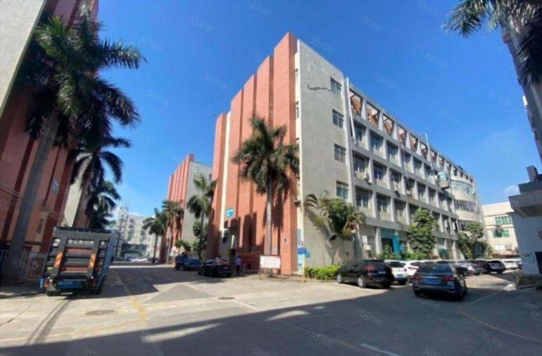 观澜桂花原房东1000平方精装修电子设备厂房低价出租大型区园