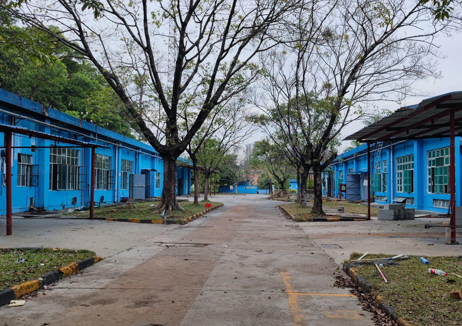 观澜竹村地铁标准一楼厂房共8000平方出租 300平米起租