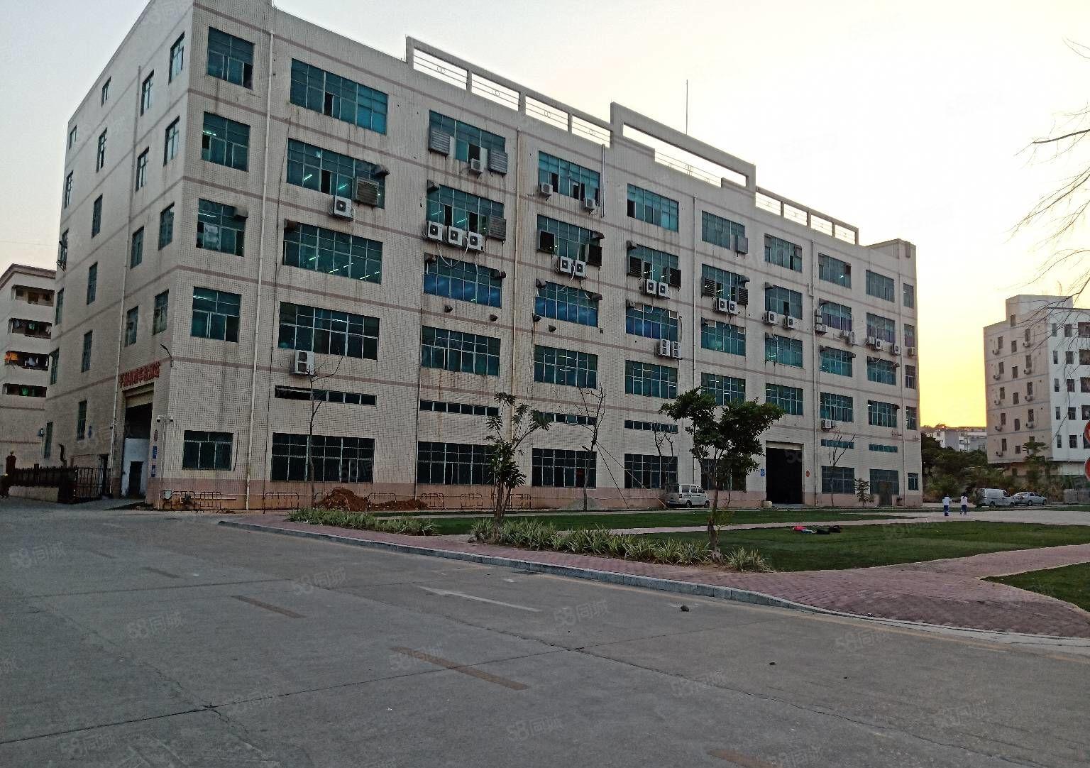 观澜新出1000平至5000平一二楼厂房仓库出租独院大小分租