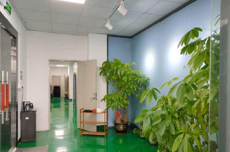 龙华大浪独院楼上带装修200~500平不等小面积厂房出租低价