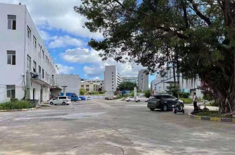 观澜小独院3500平8万块钱打包带红本空地2000平带红本