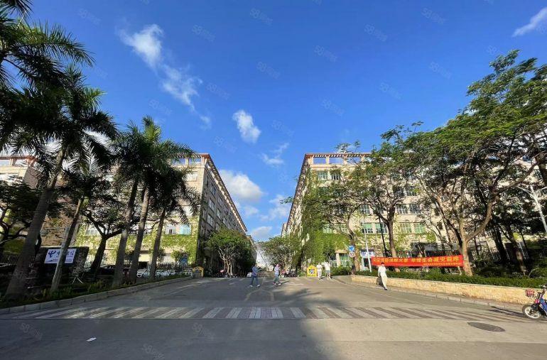 龙华大浪100平起分25元全新装修1000厂房仓库办公室出租