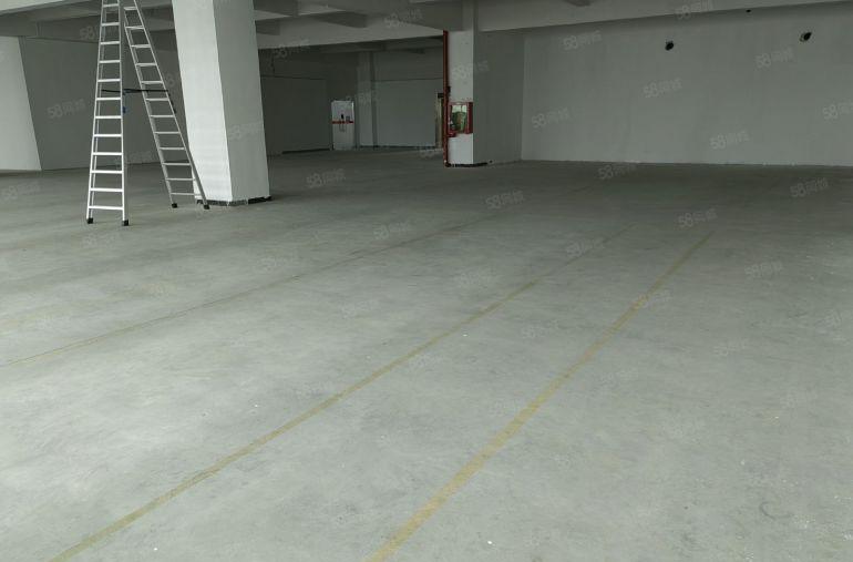 特价标准厂房，地铁口物业，带装修。