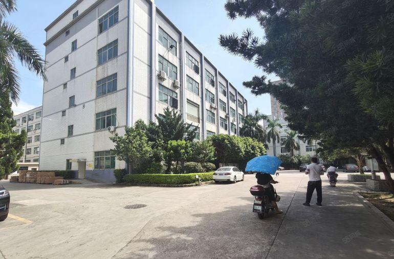 龙华大浪原房东布龙路边1250平厂房出租 产业园