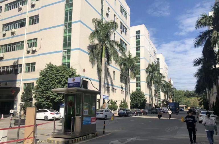 大浪华宁路，新出1050平带办公及生产车间，环境干净整洁