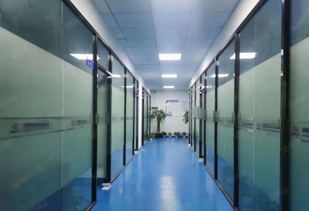 龙观澜高端工业区厂房一楼2000平米二楼3000平米高度6米