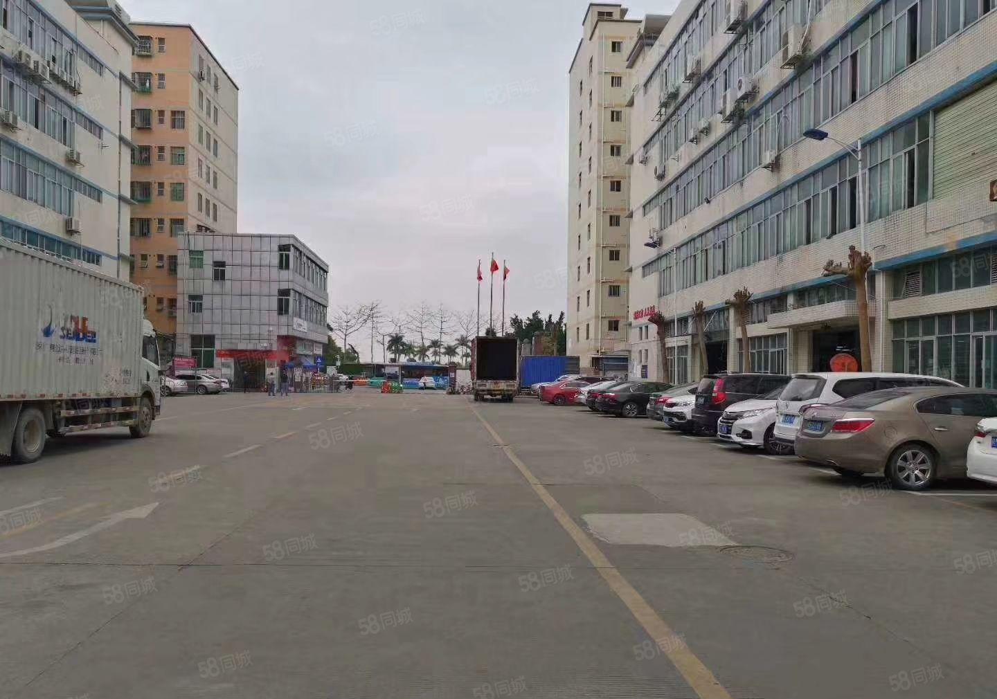 布龙路边上新出一楼1200平适合做国际物流跨境电商仓库