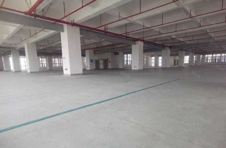 龙华观澜章阁工业区2000平方全新标准厂房出租大小可分租