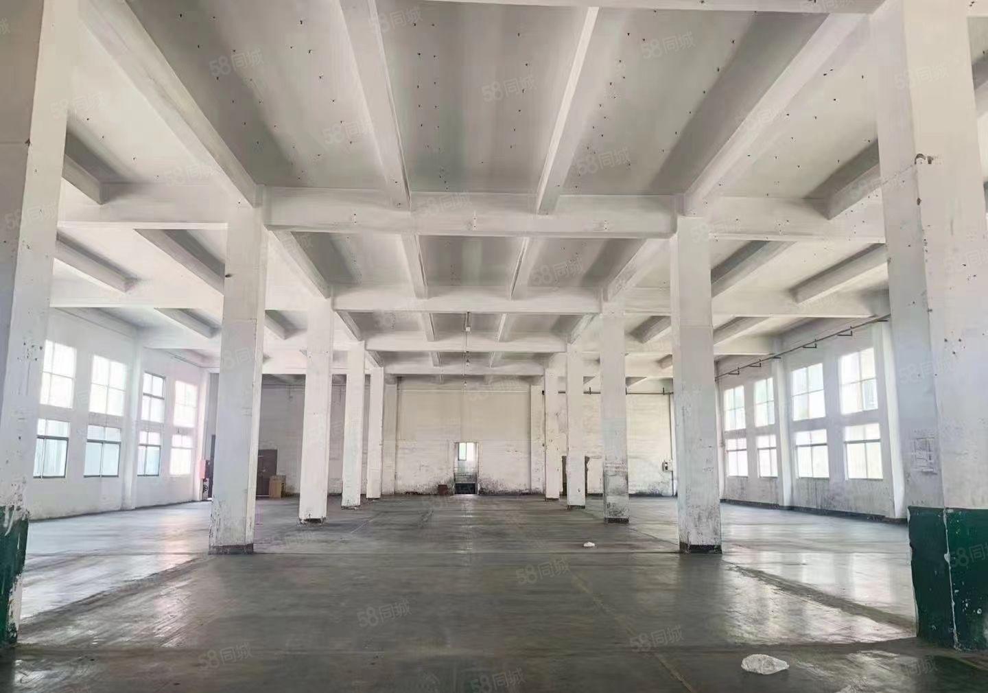 深圳观澜同富裕工业区新出一楼3000平方红本厂房出租