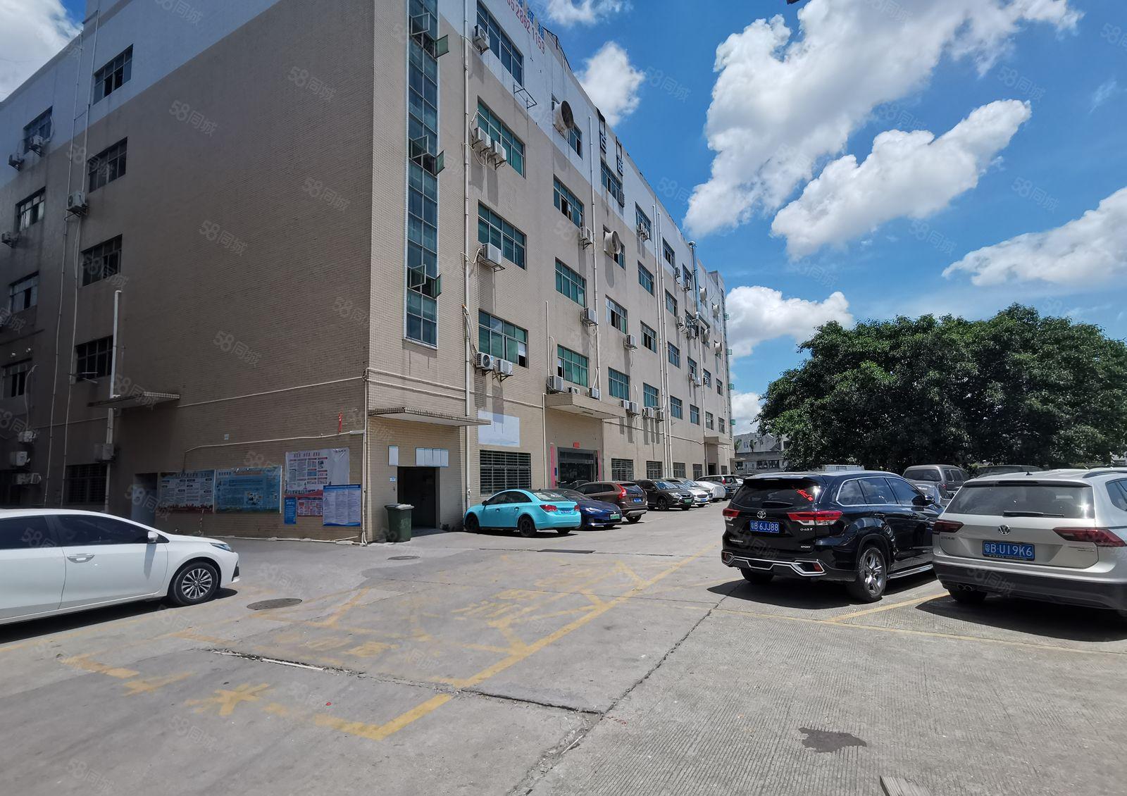 龙华观澜新田原房东楼上新出950平方豪华精装修房厂房仓库出租