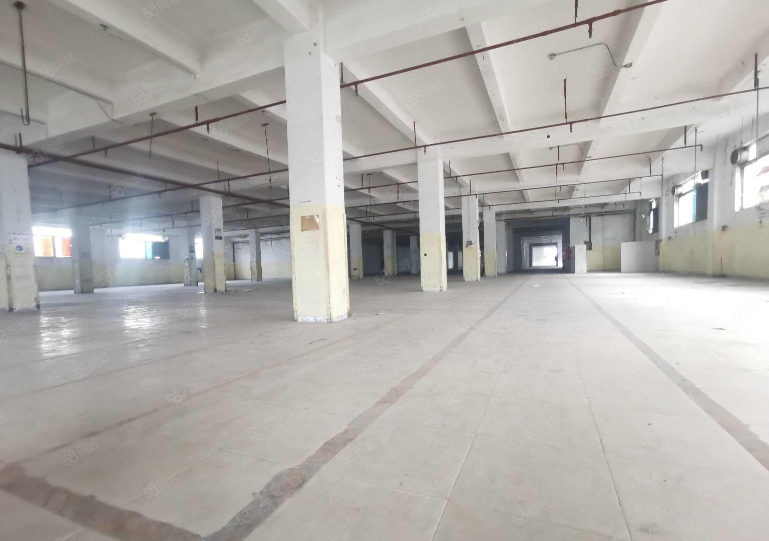 出租，清湖工业区5100平红本厂房出租，带卸货平台空地超大