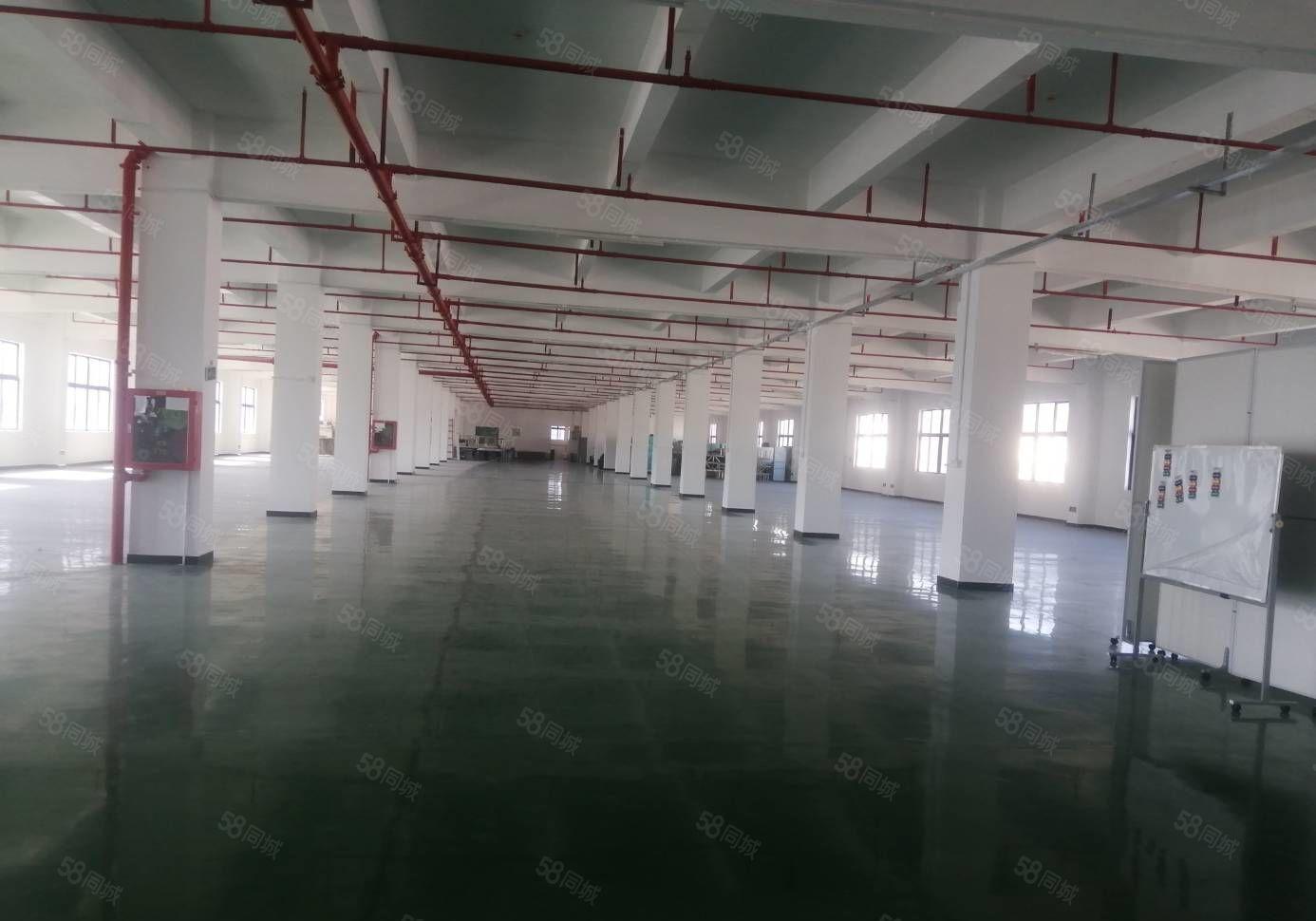 200平起分租观澜湖原房东35000平红本独门独院厂房出租