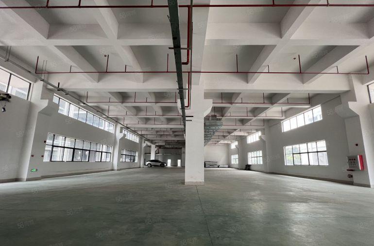 龙华大浪高速口原房东工业园一楼1980平带牛角消防喷淋办环评