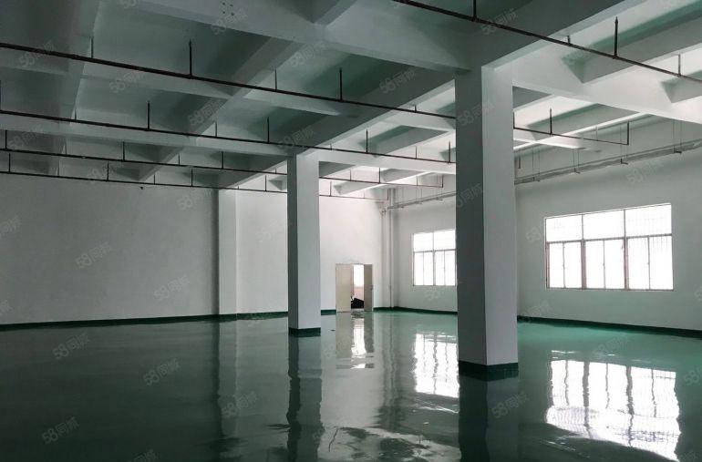 18块起观澜厂房出租办公仓库200平起租可定制装修主干道边