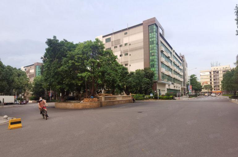 100平起租龙华大浪原房东1000至2000平方厂房仓库出租