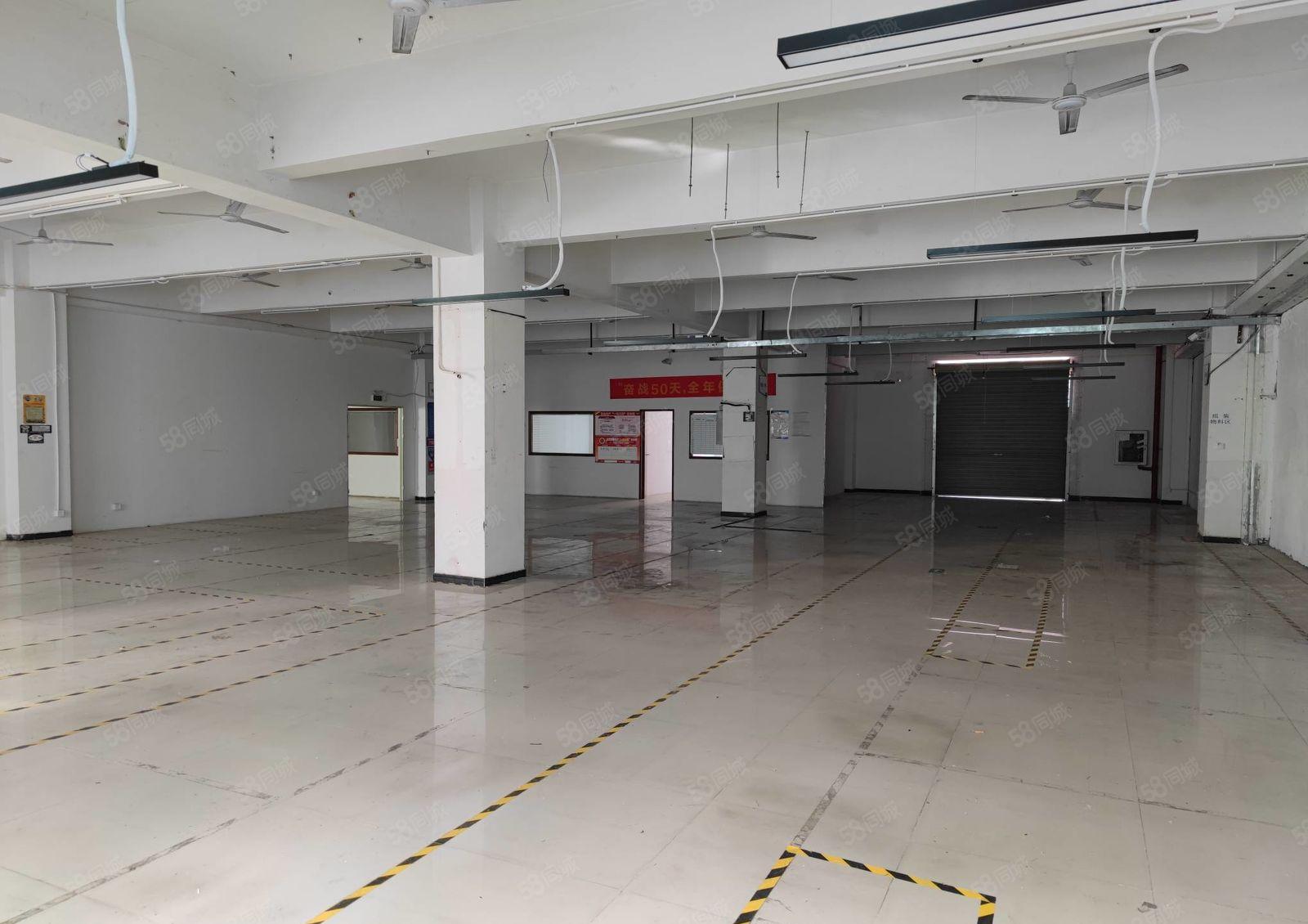 龙华大浪商业中心附近新出1200平工业厂房出租