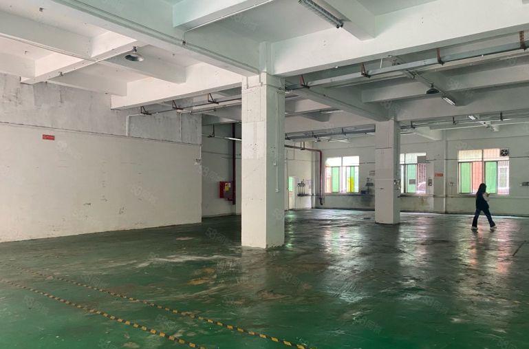 龙华大浪南路，一楼厂房588平出租，单价32元一平