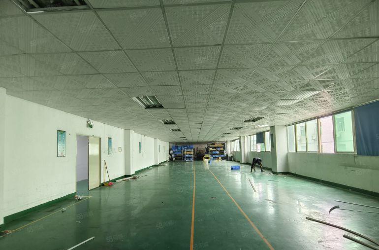 观澜厂房出租独栋500平起分精装修电商物流仓库一楼分租原房东