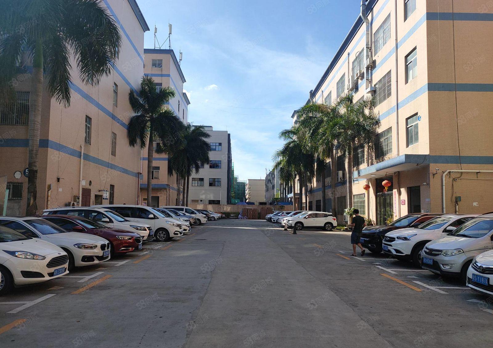 龙华大浪精装修1500平厂房出租可分租园区形象好仓库出租