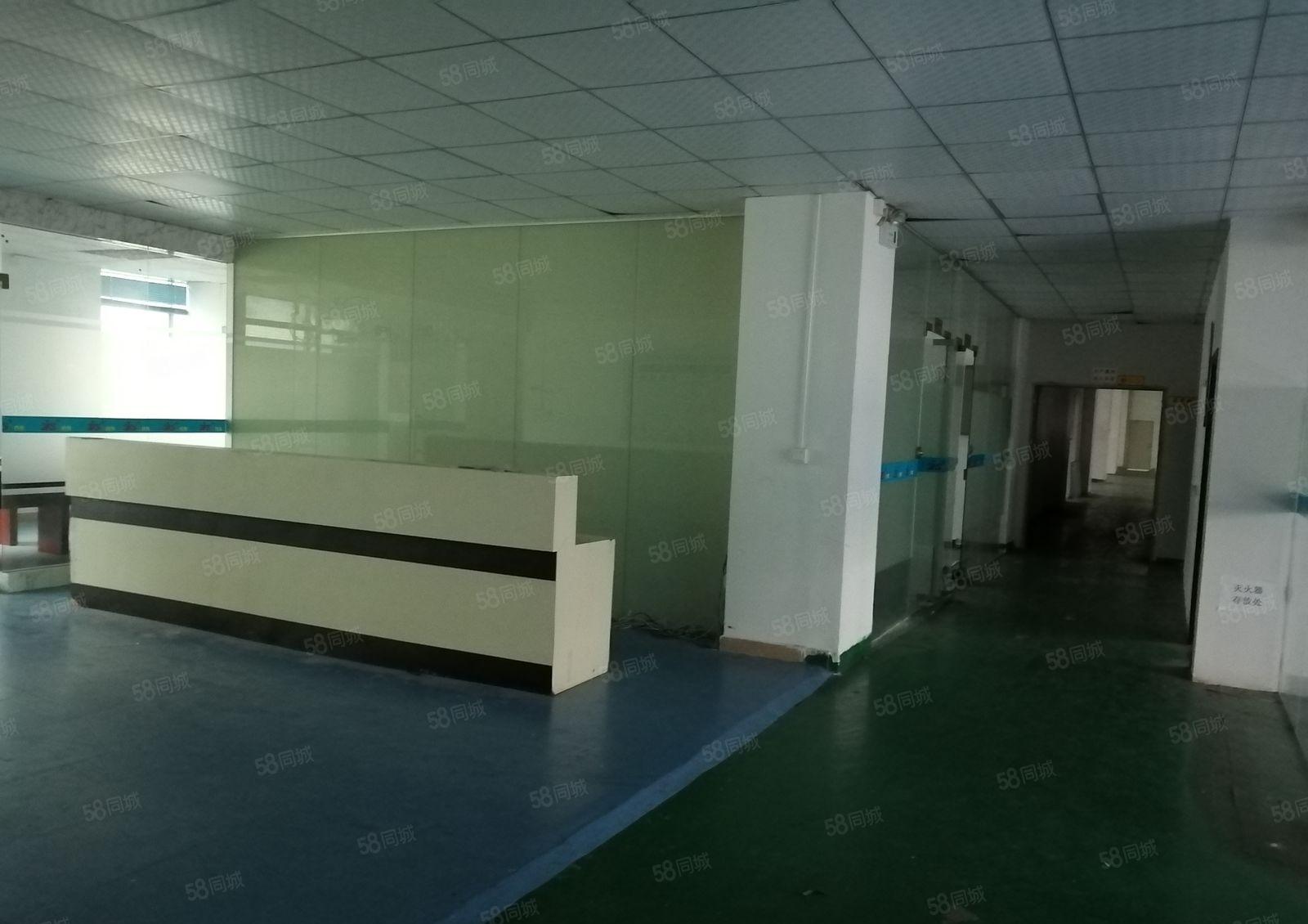 高新园区带红本二楼4800平带喷淋卸货平台带装修