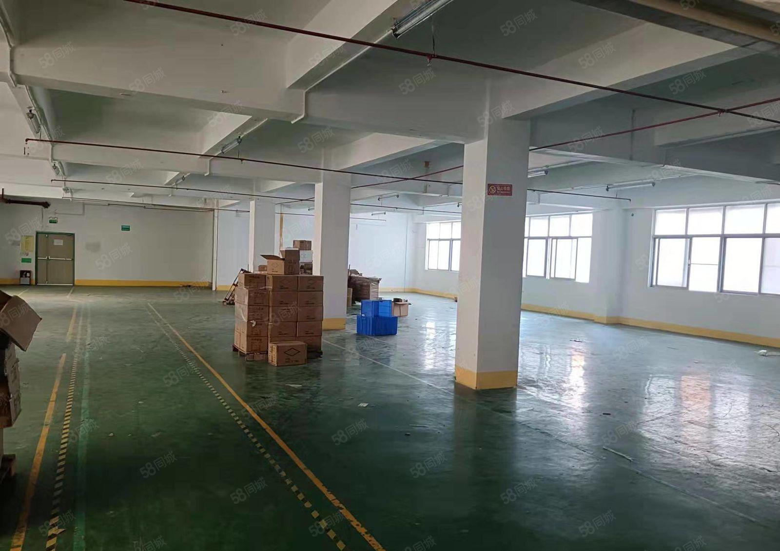 龙华大浪新出楼上1500平标准厂房出租