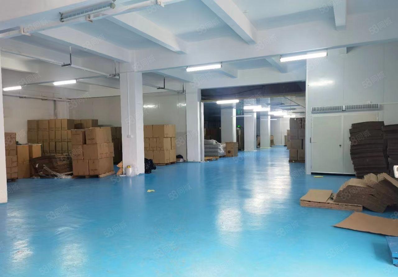 龙华大浪工业园区200至2000平精装修厂房仓库出租超大空地