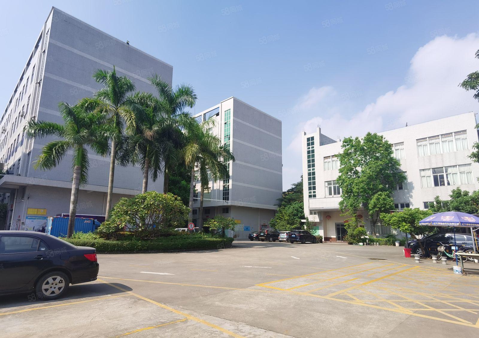 观澜新田工业区即将空出独栋标准厂房6000平方出租可分租